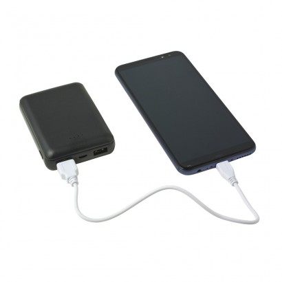 Power bank Levy